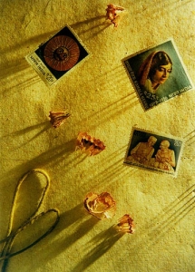 3026084629_5ba71e78f9