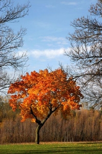 3026085035_6210789d34