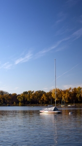 fall_calhoun2010_12 (1)