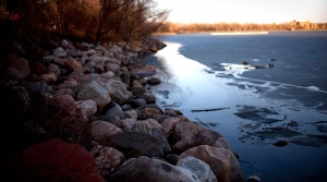 fall_calhoun2010_15 (1)