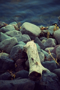 fall_calhoun2010_2