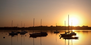 fall_calhoun2010_22 (1)