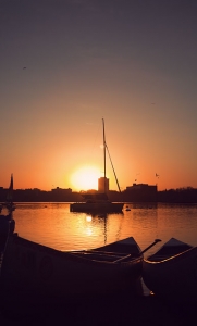 fall_calhoun2010_25 (1)