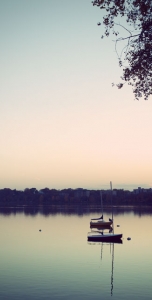 fall_calhoun2010_28 (1)