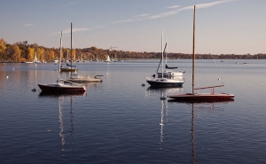 fall_calhoun2010_6