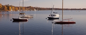 fall_calhoun2010_7