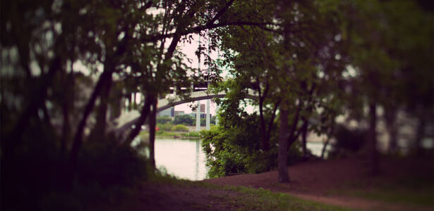 Tilt Shift Photography